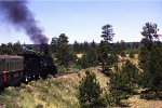 CTS 2-8-2ng #489 - Cumbres & Toltec